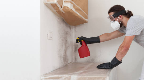 Professional Attic Mold Remediation technician working in Port Republic, NJ